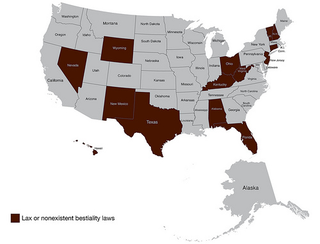 Illustration for article titled Handy Map Demonstrates Where You Can Marry Your Cat But Not Your Girlfriend